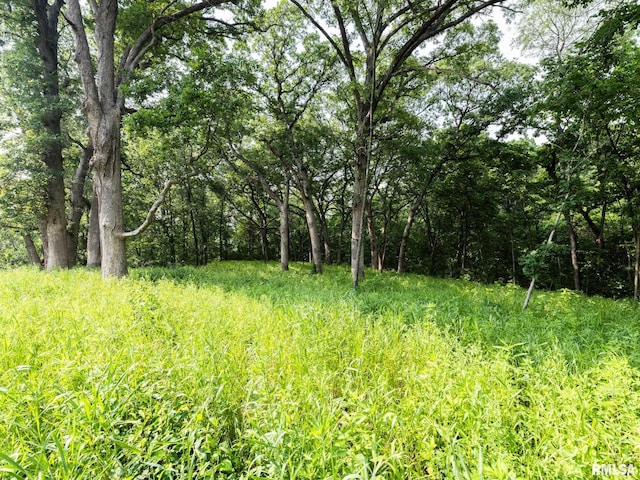 3041 Zion Oaks Rd, Pekin, IL 61554