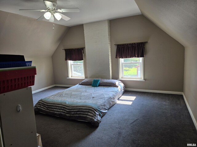 840 Blackjack Rd, Blandinsville, IL 61420 - photo 27