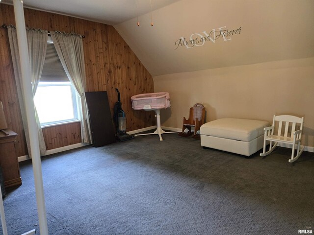 840 Blackjack Rd, Blandinsville, IL 61420 - photo 28