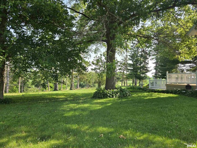 840 Blackjack Rd, Blandinsville, IL 61420 - photo 8