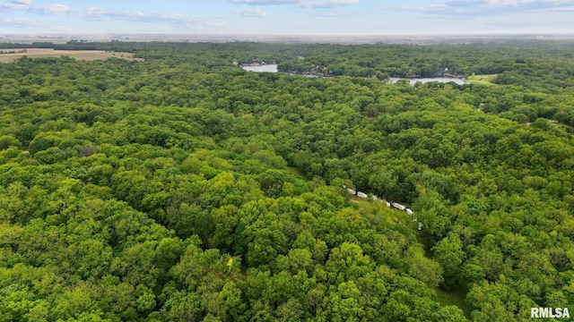 19 Navajo Ct, Putnam, IL 61560 - photo 25