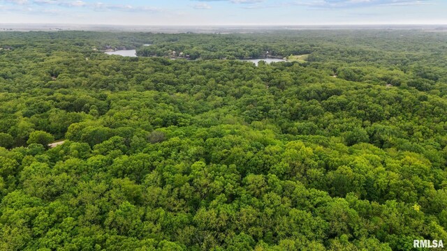 19 Navajo Ct, Putnam, IL 61560 - photo 26