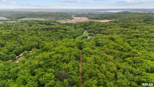 19 Navajo Ct, Putnam, IL 61560 - photo 27