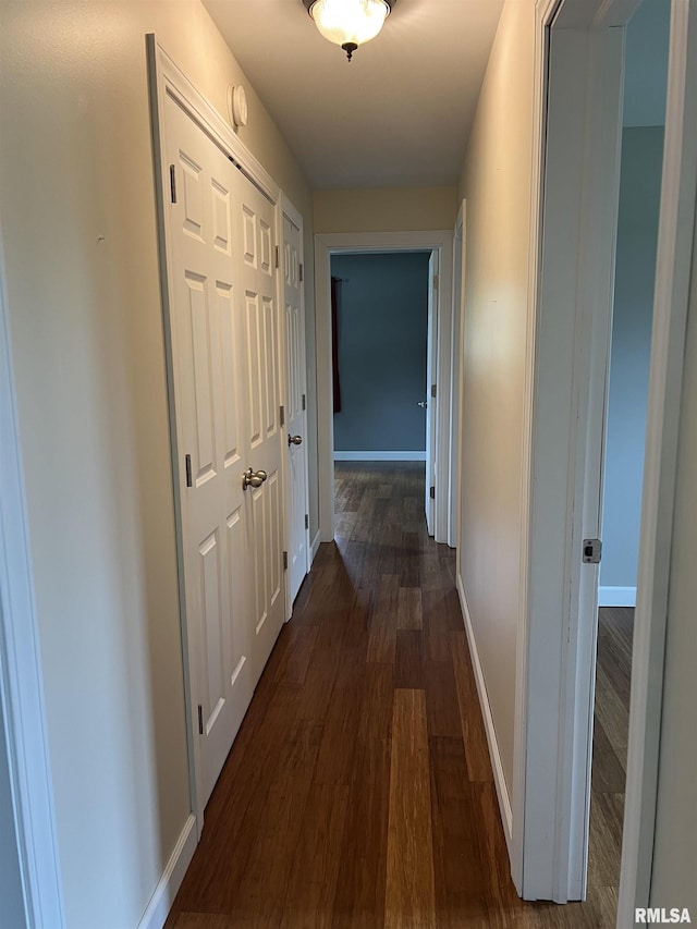 1302 Maple Ave, Macomb, IL 61455 - hall with dark wood-style flooring and baseboards