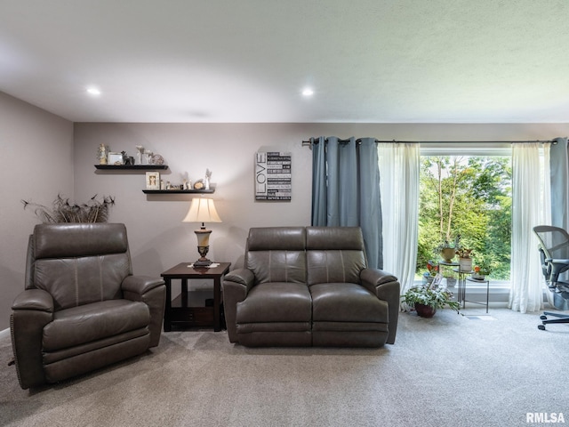 2010 E Paris Ave, Peoria, IL 61614 - living room with carpet floors and recessed lighting