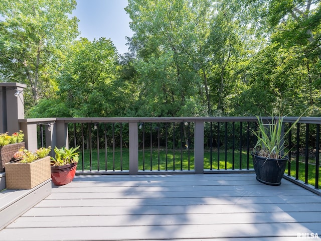 2010 E Paris Ave, Peoria, IL 61614 - view of deck