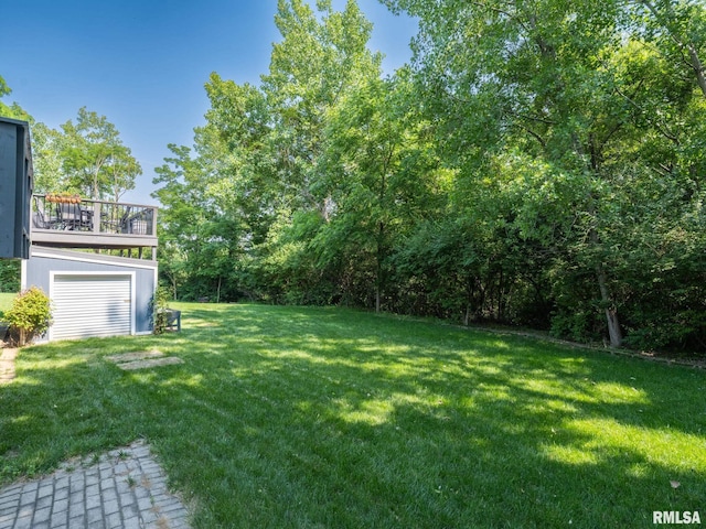 2010 E Paris Ave, Peoria, IL 61614 - view of grassy yard