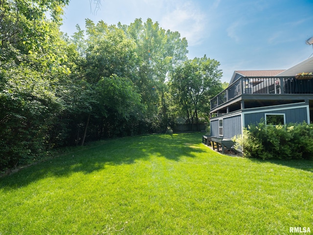 2010 E Paris Ave, Peoria, IL 61614 - view of green lawn