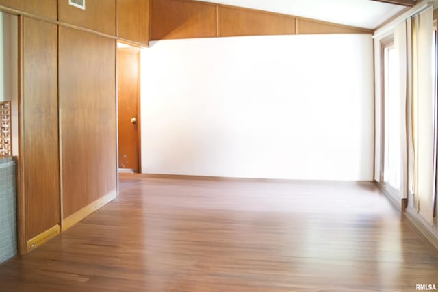 18223 N Slane Rd, Princeville, IL 61559 - spare room with wood finished floors, healthy amount of natural light, and lofted ceiling