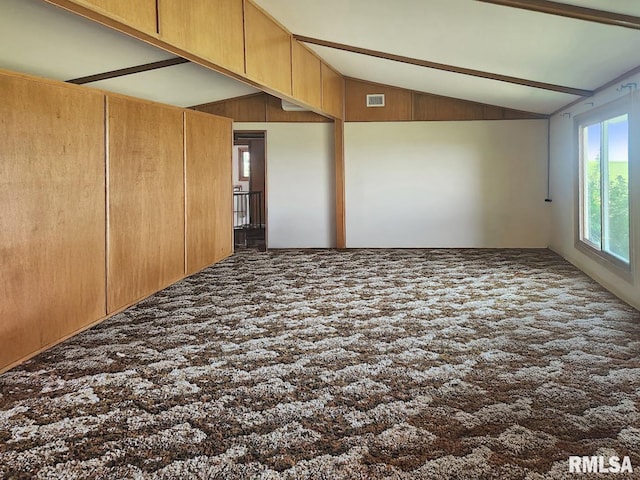 18223 N Slane Rd, Princeville, IL 61559 - carpeted spare room featuring lofted ceiling