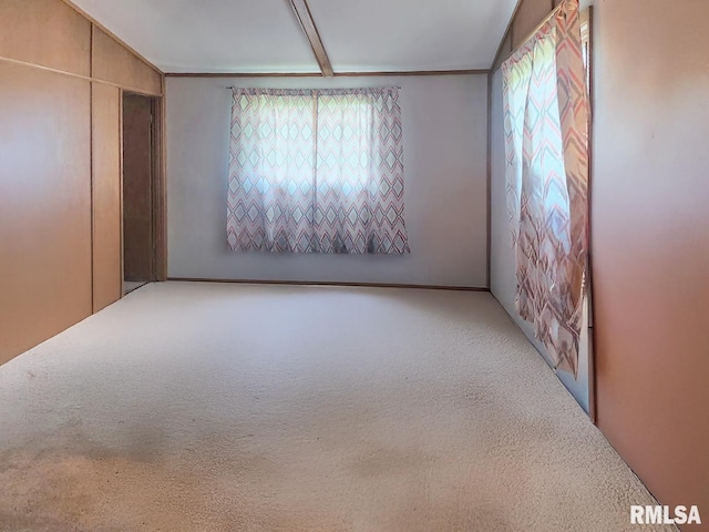 18223 N Slane Rd, Princeville, IL 61559 - unfurnished bedroom with carpet flooring, lofted ceiling, and a closet