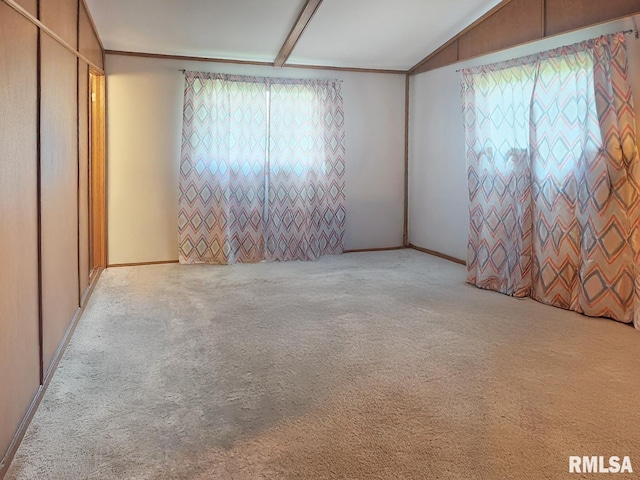 18223 N Slane Rd, Princeville, IL 61559 - unfurnished room with plenty of natural light, carpet floors, and lofted ceiling