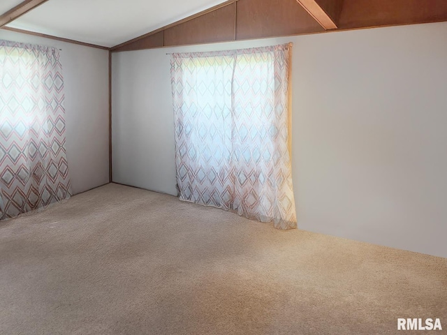 18223 N Slane Rd, Princeville, IL 61559 - unfurnished room with carpet floors and lofted ceiling