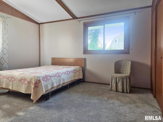 18223 N Slane Rd, Princeville, IL 61559 - carpeted bedroom with vaulted ceiling