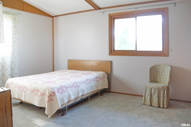 18223 N Slane Rd, Princeville, IL 61559 - carpeted bedroom featuring baseboards