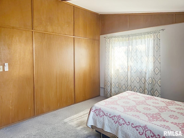 18223 N Slane Rd, Princeville, IL 61559 - bedroom with carpet floors