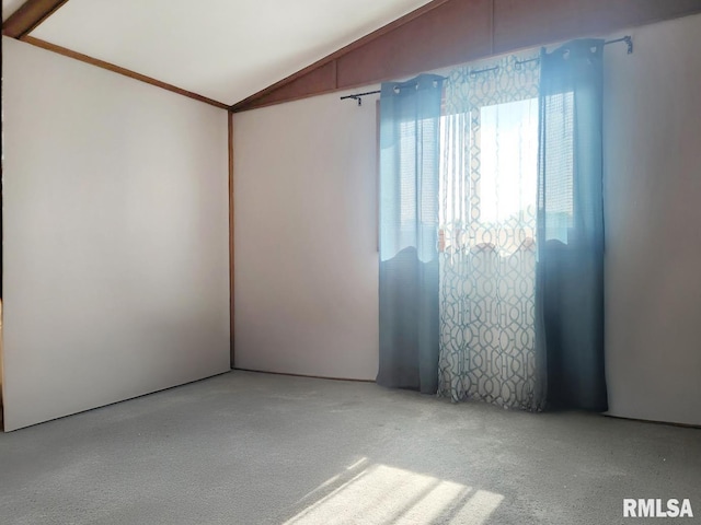 18223 N Slane Rd, Princeville, IL 61559 - carpeted spare room with vaulted ceiling