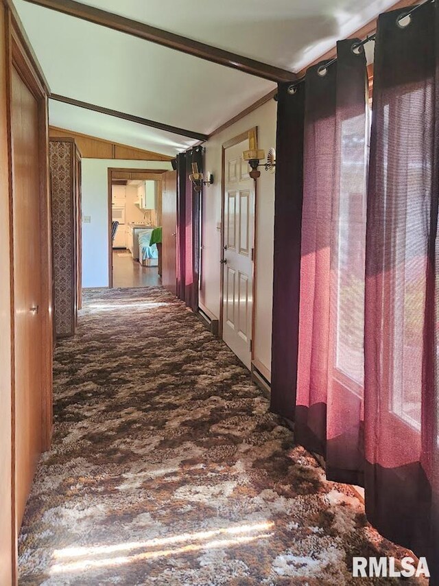 18223 N Slane Rd, Princeville, IL 61559 - corridor with vaulted ceiling and wood finished floors