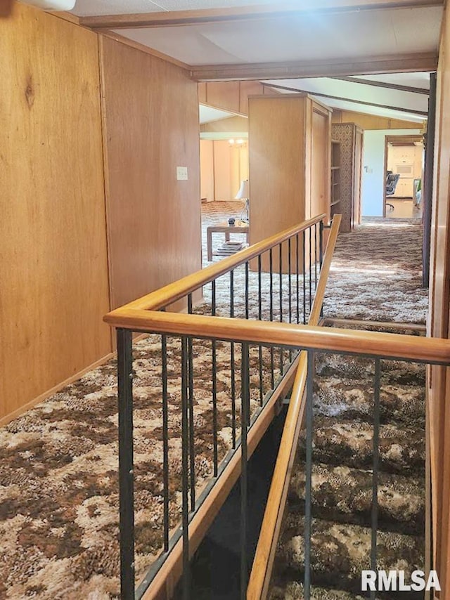 18223 N Slane Rd, Princeville, IL 61559 - stairway featuring wood walls