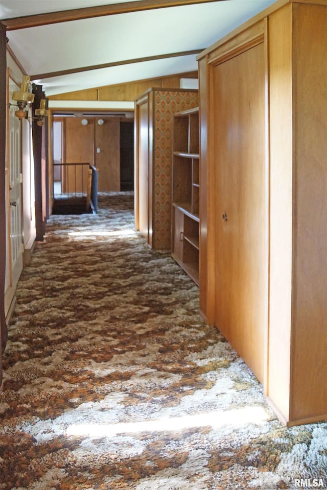 18223 N Slane Rd, Princeville, IL 61559 - hallway with vaulted ceiling