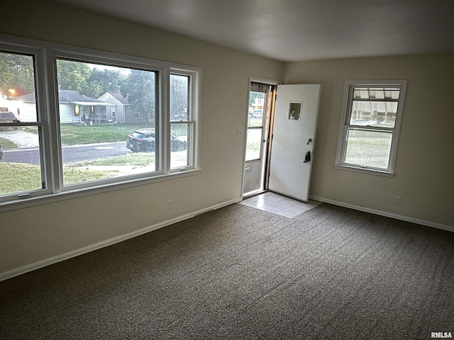 2003 W Martin St, Peoria, IL 61605 - photo 10
