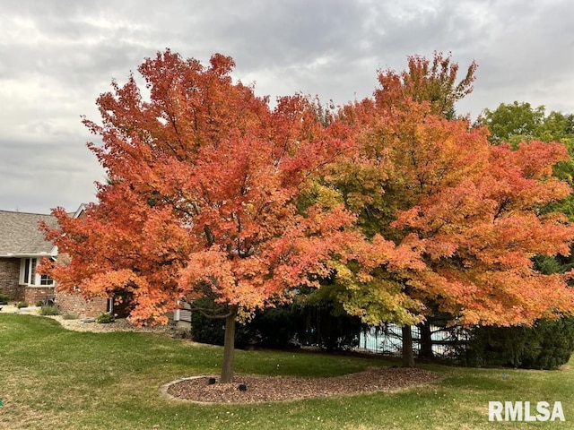 905 Highland Ct, Germantown Hills, IL 61548 - view of grassy yard
