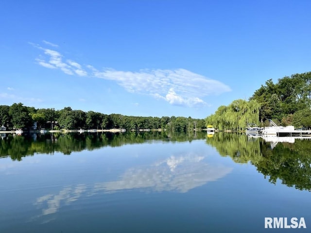 905 Highland Ct, Germantown Hills, IL 61548 - water view featuring a forest