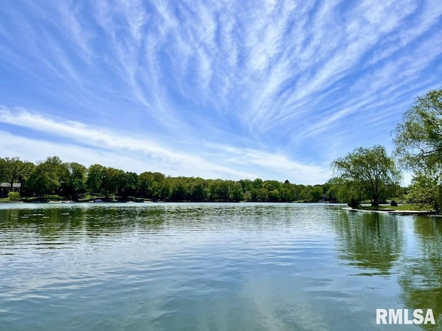 905 Highland Ct, Germantown Hills, IL 61548 - water view with a forest