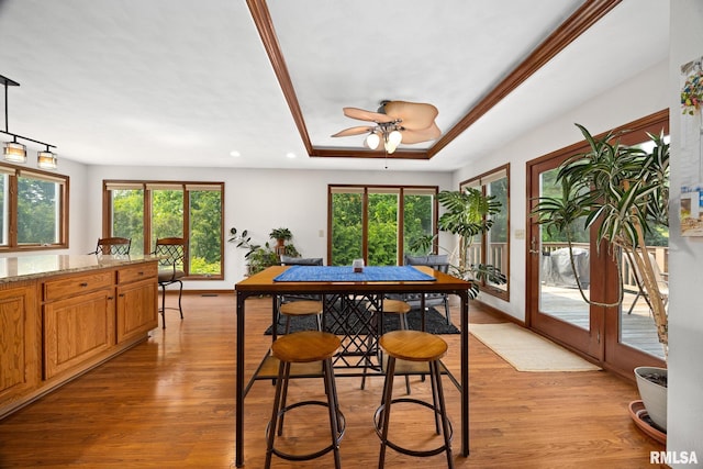 905 Highland Ct, Germantown Hills, IL 61548 - dining room with light wood-style flooring, healthy amount of natural light, a tray ceiling, and recessed lighting