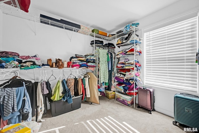11306 N Joseph St, Dunlap, IL 61525 - spacious closet with carpet flooring