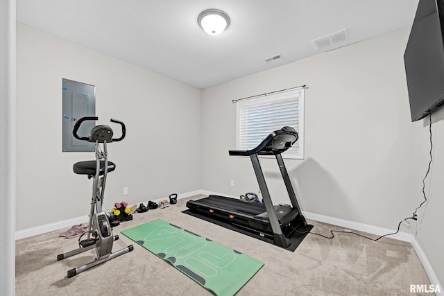 11306 N Joseph St, Dunlap, IL 61525 - workout room featuring carpet floors, baseboards, and electric panel