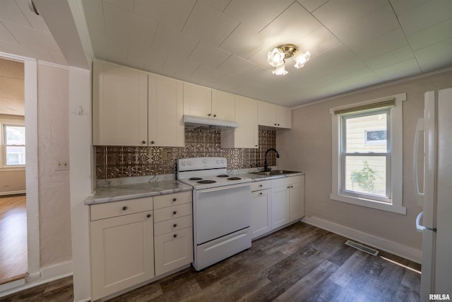 116 S 8th Ave, Canton, IL 61520 - kitchen featuring white appliances, a sink, under cabinet range hood, tasteful backsplash, and dark wood finished floors