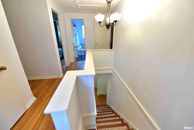 3307 N Biltmore Ave, Peoria, IL 61604 - staircase with wood finished floors