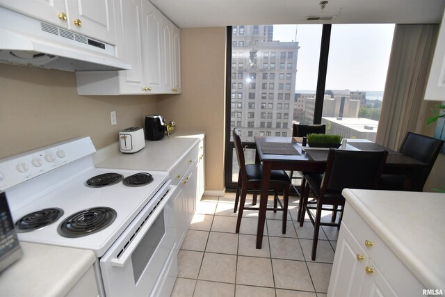 123 SW Jefferson Ave Unit E9C, Peoria, IL 61602 - photo 16