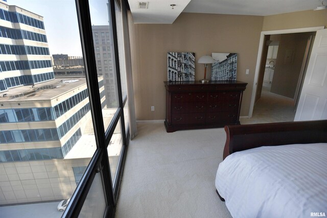 123 SW Jefferson Ave Unit E9C, Peoria, IL 61602 - photo 27
