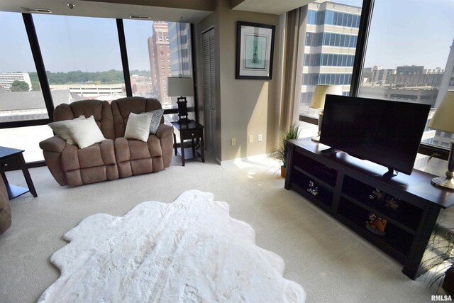123 SW Jefferson Ave Unit E9C, Peoria, IL 61602 - photo 4