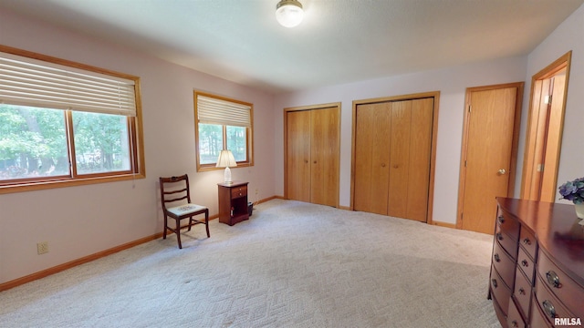 1111 Windy Hill Ct, Varna, IL 61375 - bedroom with two closets, carpet, and baseboards
