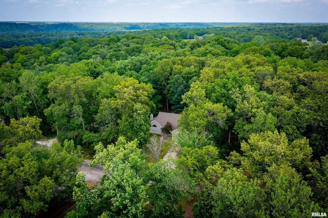 1111 Windy Hill Ct, Varna, IL 61375 - view from above of property featuring a forest