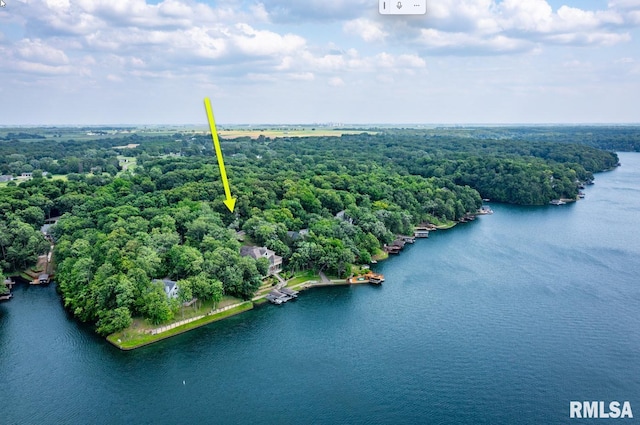 1111 Windy Hill Ct, Varna, IL 61375 - drone / aerial view of a large body of water and a forest