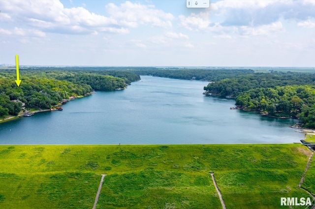 1111 Windy Hill Ct, Varna, IL 61375 - bird's eye view of a large body of water and a forest