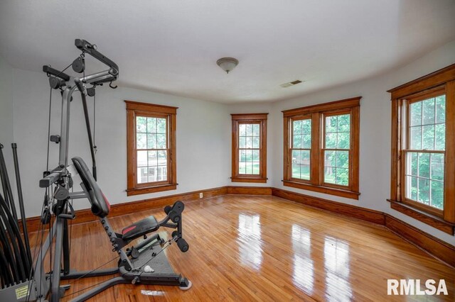 307 N Logan St, Deer Creek, IL 61733 - workout area with baseboards and wood finished floors