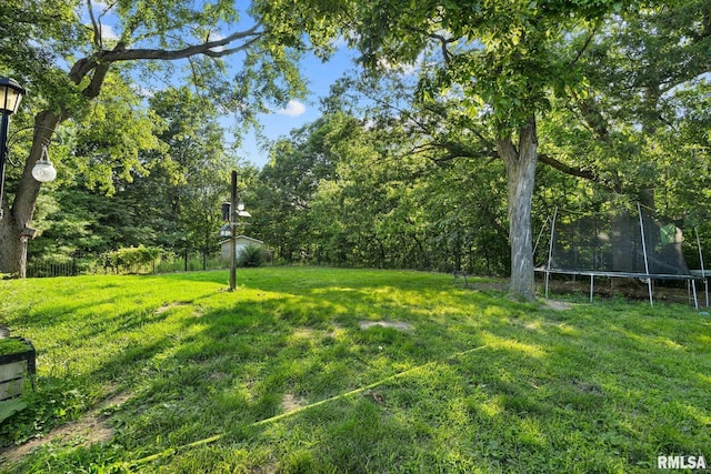 51 Lynnwood Ct, Morton, IL 61550 - view of green lawn with a trampoline