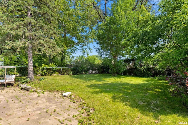 136 E Oak Park Dr, Peoria, IL 61614 - view of yard