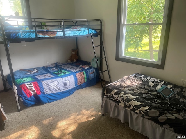 427 W Orchard St, Macomb, IL 61455 - view of carpeted bedroom