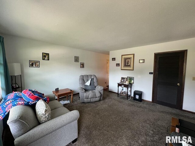 510 W Kelly St, Macomb, IL 61455 - living room featuring carpet flooring