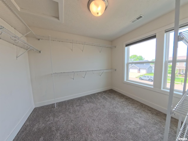308 Pocono Ave, Morton, IL 61550 - spacious closet featuring carpet flooring
