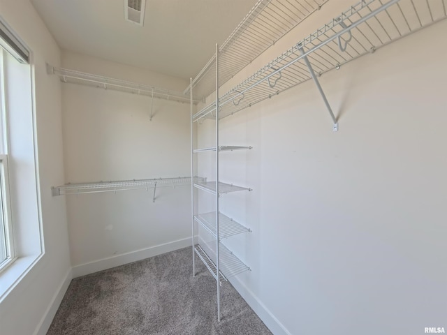 308 Pocono Ave, Morton, IL 61550 - spacious closet with carpet