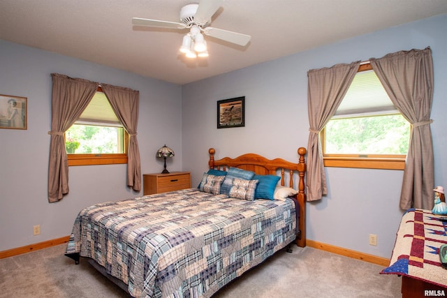 7019 Oak Run Dr, Dahinda, IL 61428 - bedroom featuring carpet and ceiling fan