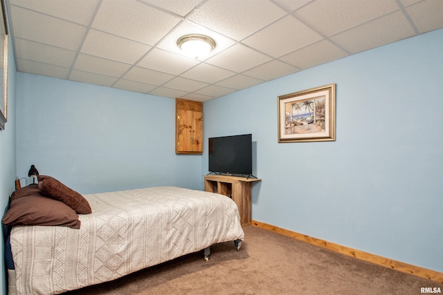 7019 Oak Run Dr, Dahinda, IL 61428 - bedroom featuring carpet floors and a drop ceiling
