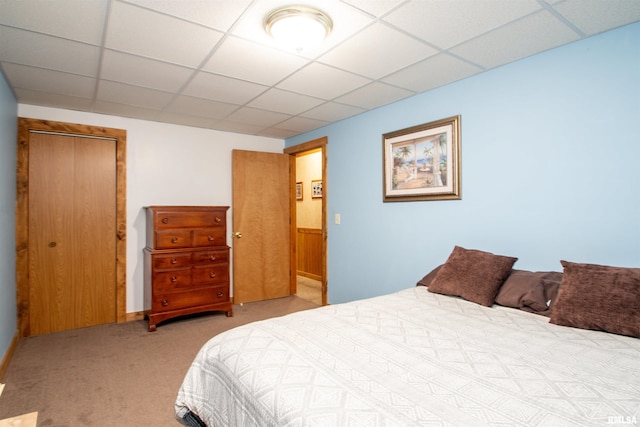 7019 Oak Run Dr, Dahinda, IL 61428 - carpeted bedroom with a drop ceiling